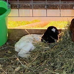 Meet your Posher, Kathy